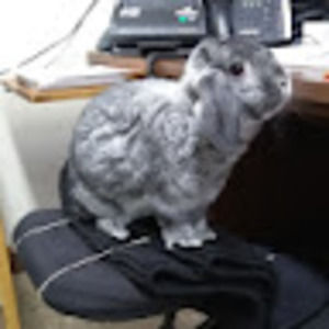 Meet your Posher, James